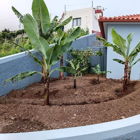 Calheta Paradise Holiday Home Arco da Calheta  Dış mekan fotoğraf