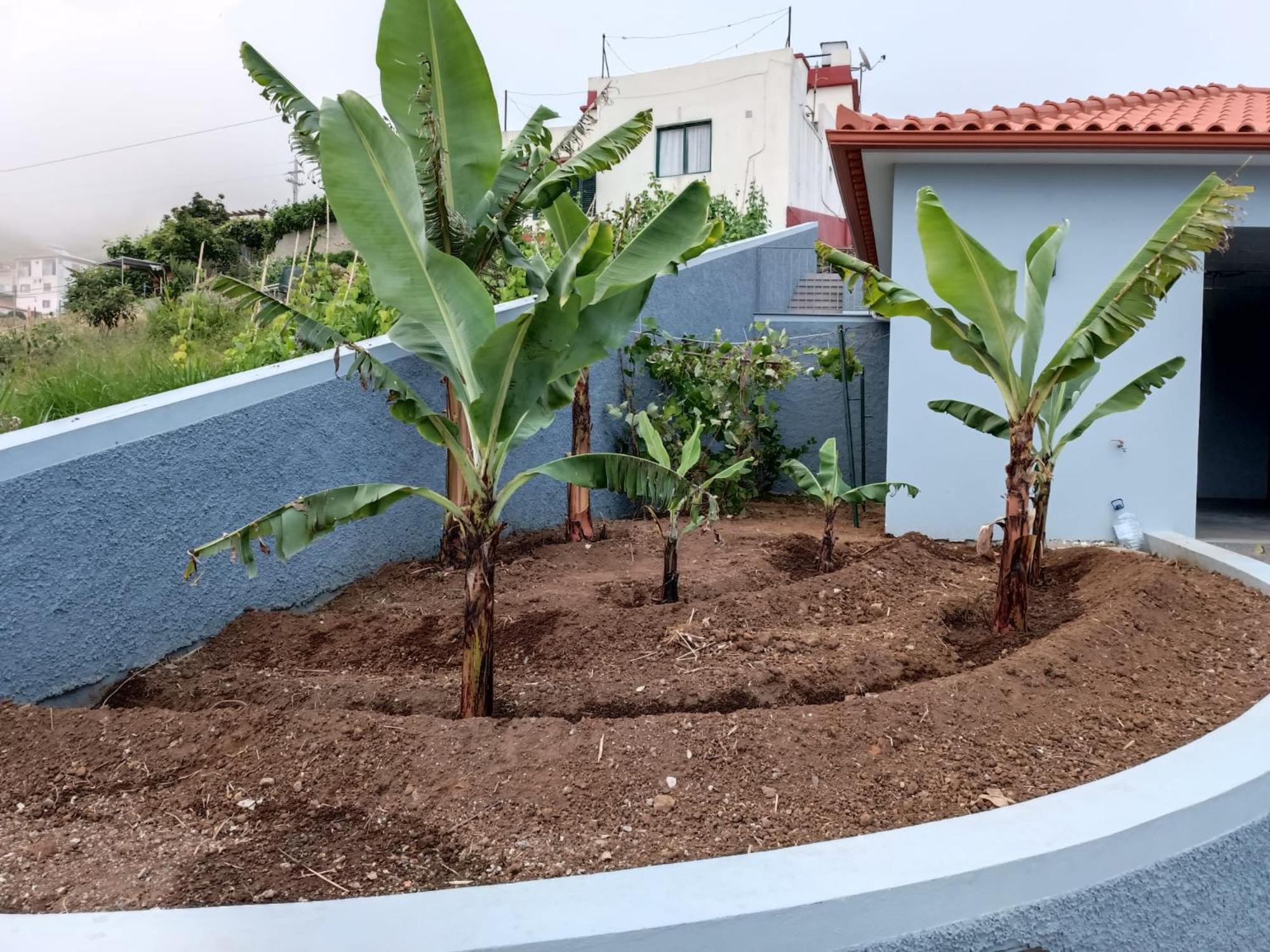Calheta Paradise Holiday Home Arco da Calheta  Dış mekan fotoğraf